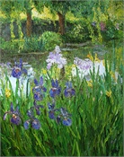 Irises